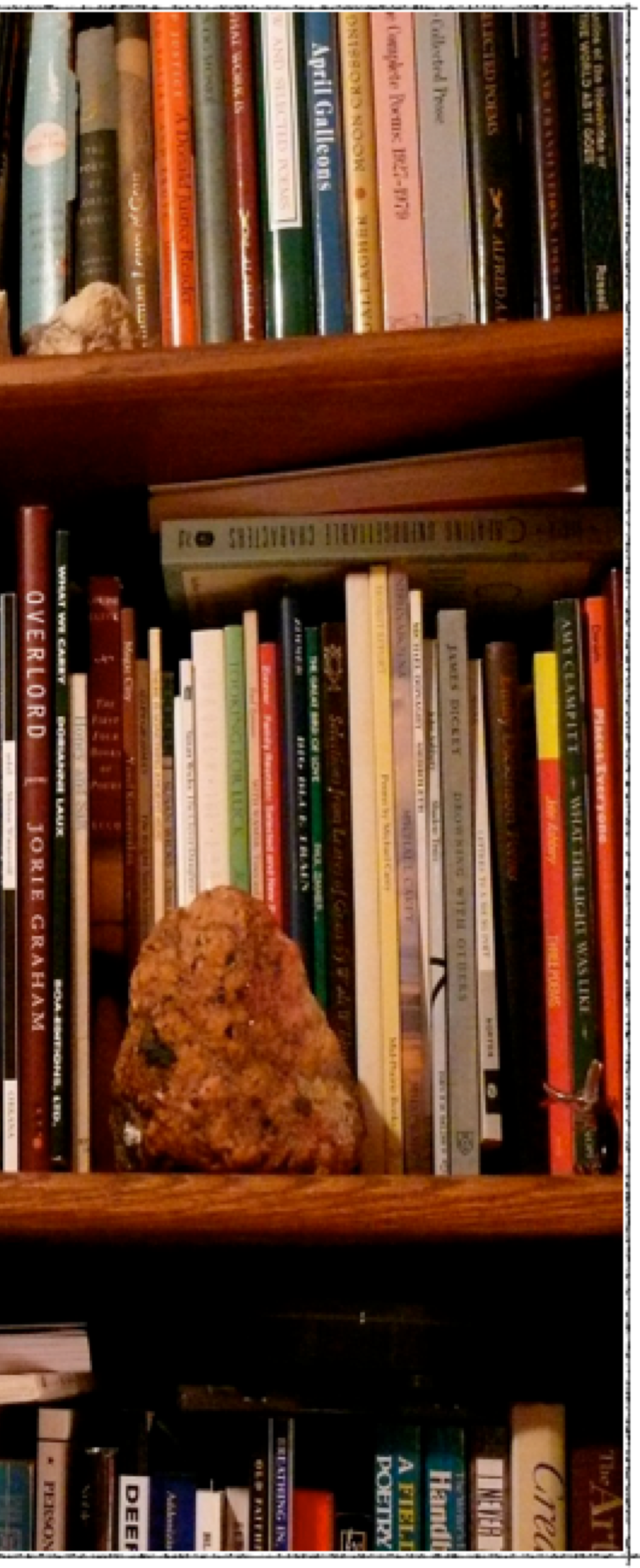 bookshef photo Rasma Haidri's study