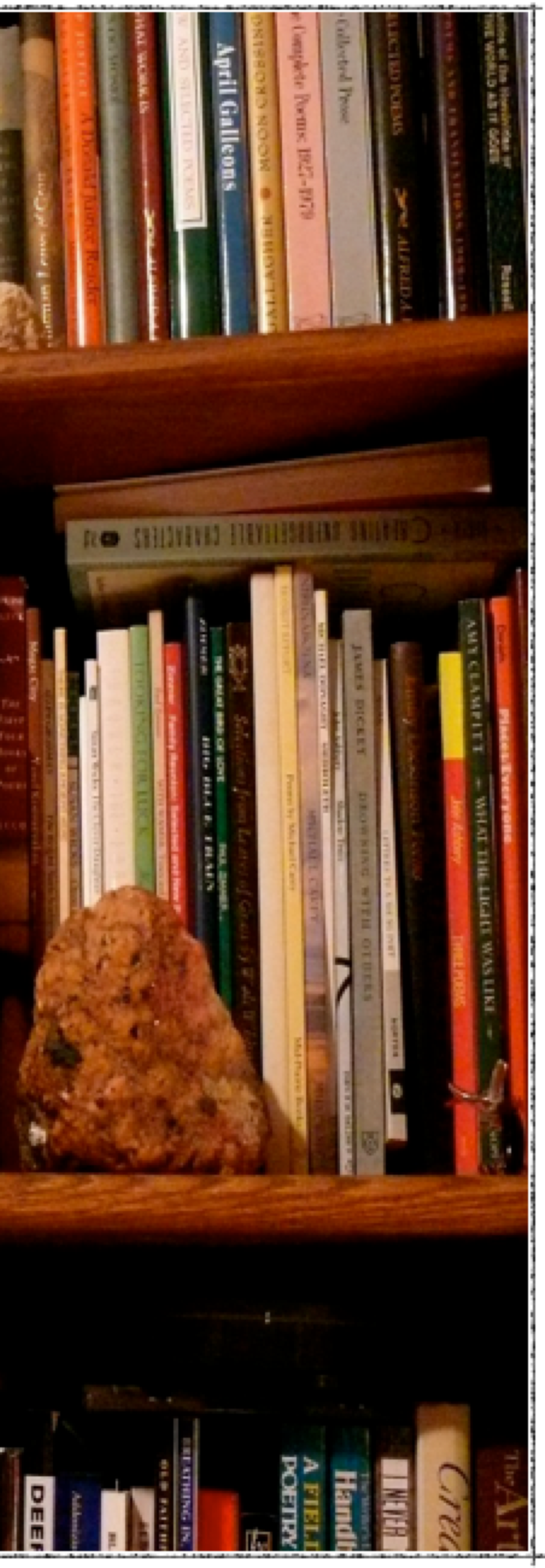 bookshef photo Rasma Haidri's study